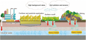 Pollution induced heave in soils